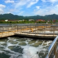 Green Revolution | Airhorse oil-free screw blower settled in a sewage treatment plant in Hainan~